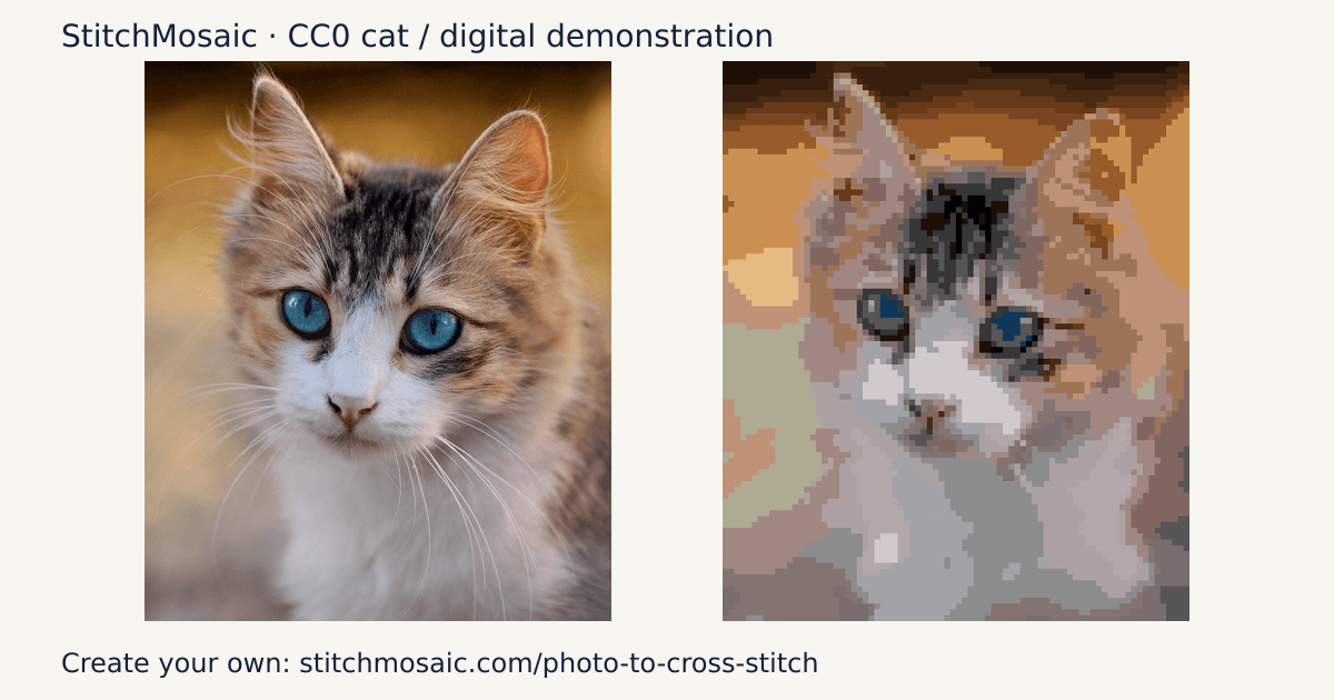 Source photo and actual 80 by 96 digital tabby chart