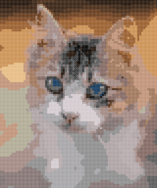 Optional digital stitch-texture simulation of the same tabby chart